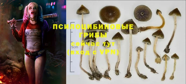 твердый Волоколамск