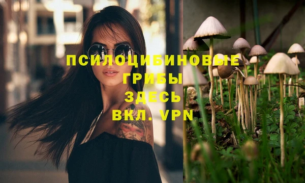 прущие крисы Волосово